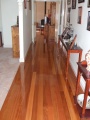 2009_0902steph0057.jpg